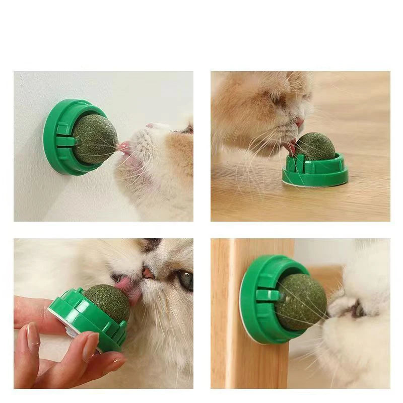 The Catnip Cat Wall Stick-on Ball Toy Scratchers Treats Healthy Natural Removes Balls to Promote Digestion Cat Grass Snack