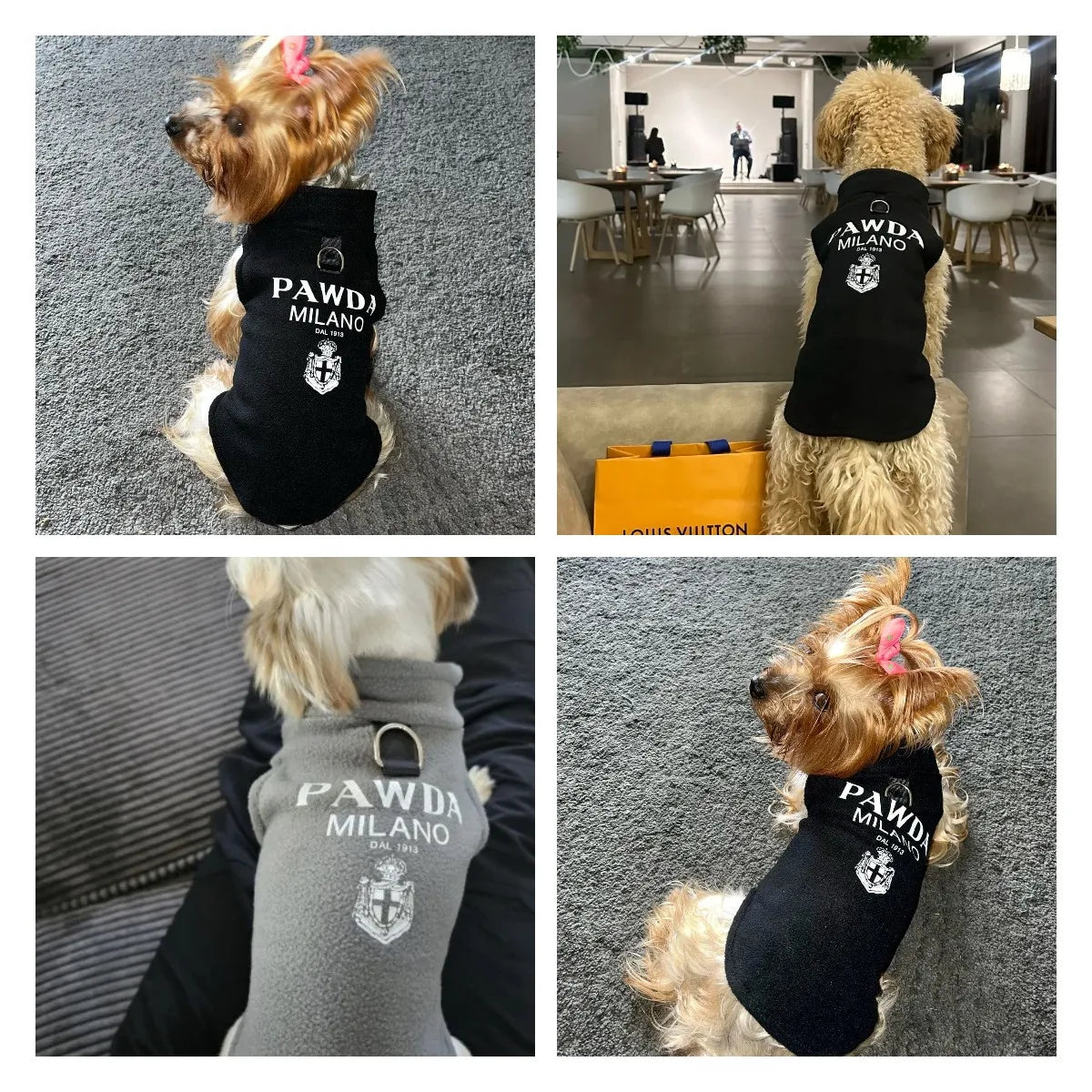 Pawda Polar Fleece Icon  Autumn Spring & Tow Buckle Small Medium Dog Clothes Chihuahua Teddy Yorkshire Warm Singlet Streetwear